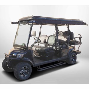 golfcar-icocar-ranger42-prochaska-b1-1-300x300