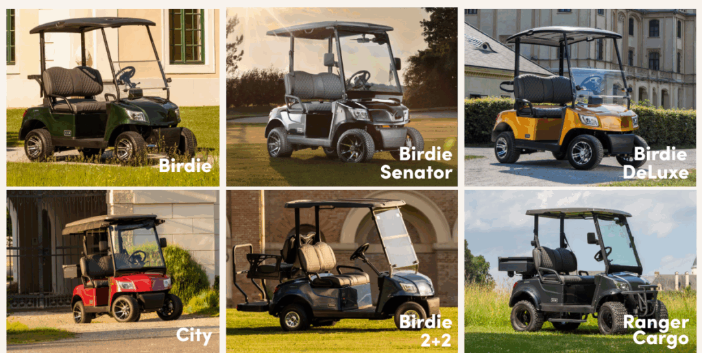 IcoCar Models DDP