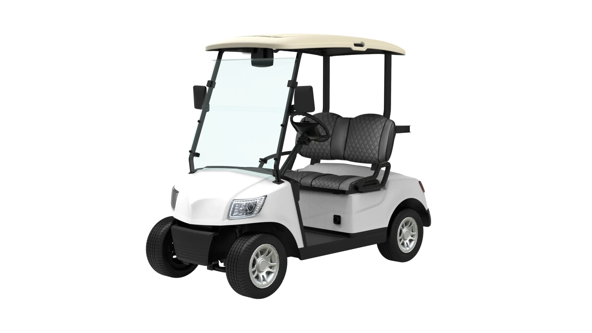 1. DG-M2 2-seated golfcar with standard tires (2)